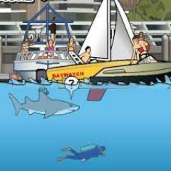 New York Shark